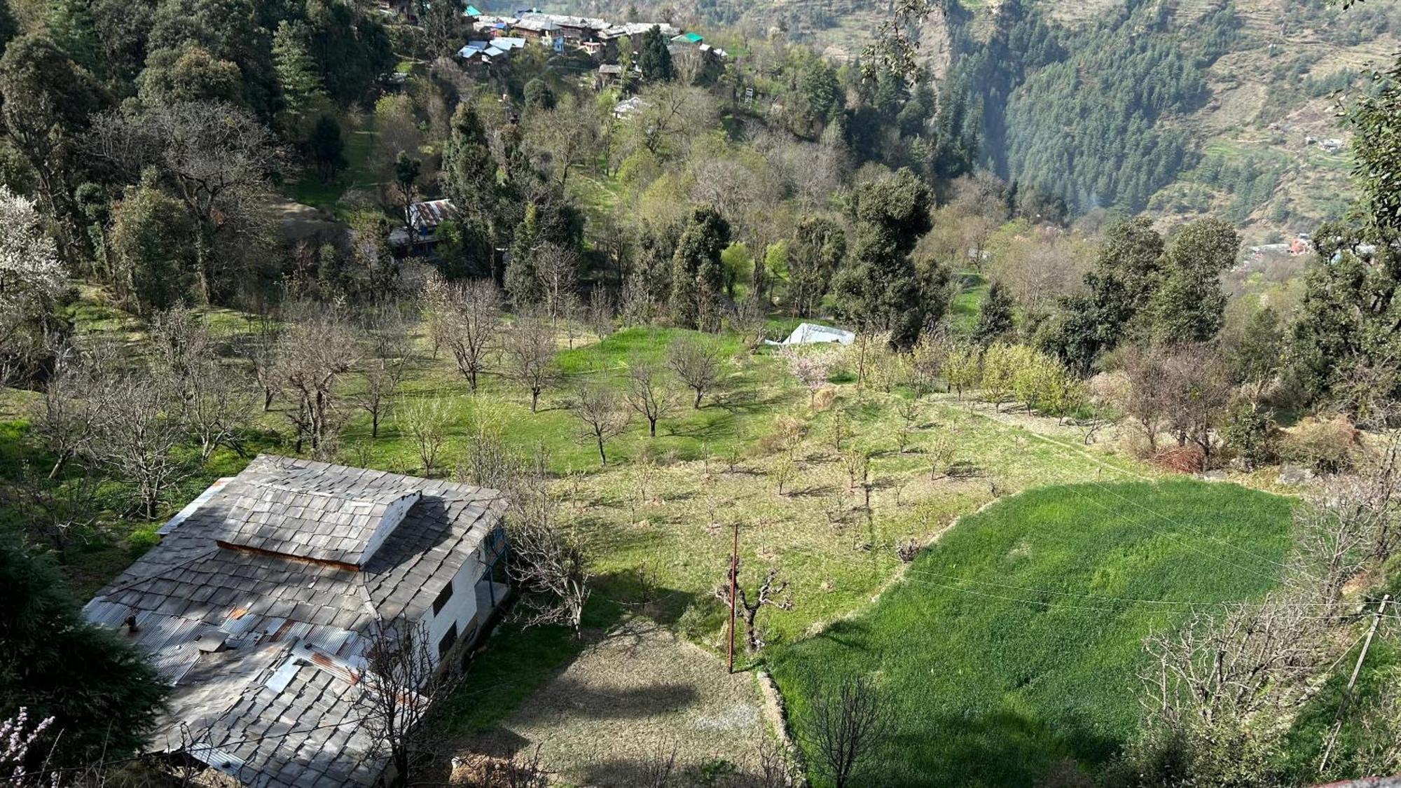Mozo Inn&Cafe Jibhi Banjar Exterior photo